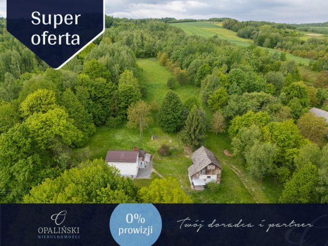 dom wolnostojący, 4 pokoje Łopuszka Wielka. Zdjęcie 1