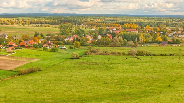 Działka rolna Zdory. Zdjęcie 14