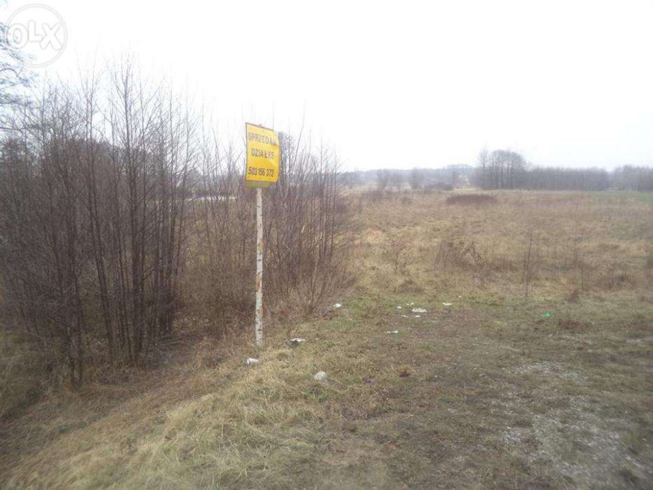 Działka rolno-budowlana Wolanów. Zdjęcie 3