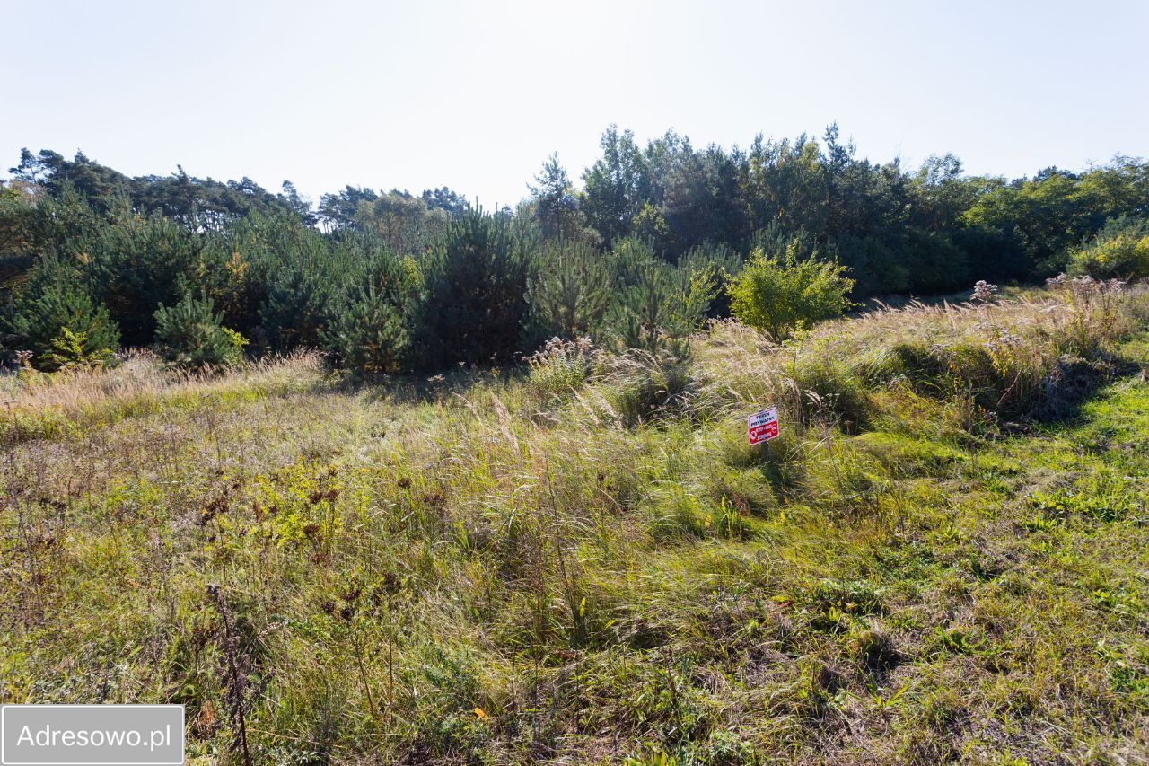 Działka budowlana Rosnówko. Zdjęcie 3