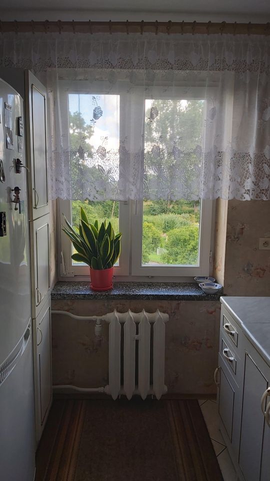 Mieszkanie 3-pokojowe Tolko. Zdjęcie 11