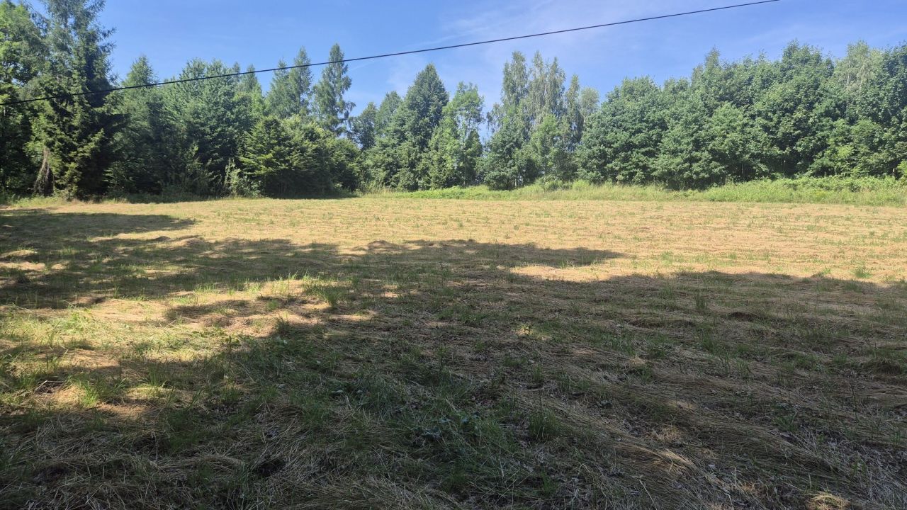 Działka rekreacyjna Świerzawa. Zdjęcie 2