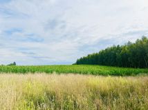 Działka budowlana Szczodrowo. Zdjęcie 3