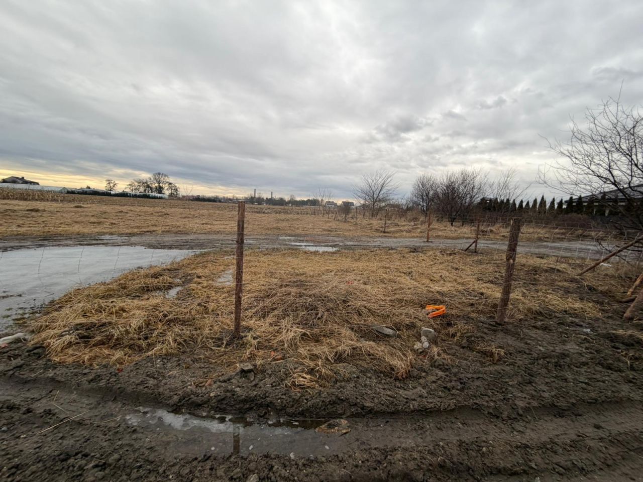 Działka budowlana Wojciechówka. Zdjęcie 2