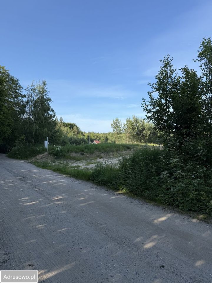 Działka Piotrowo, ul. Leśna. Zdjęcie 7