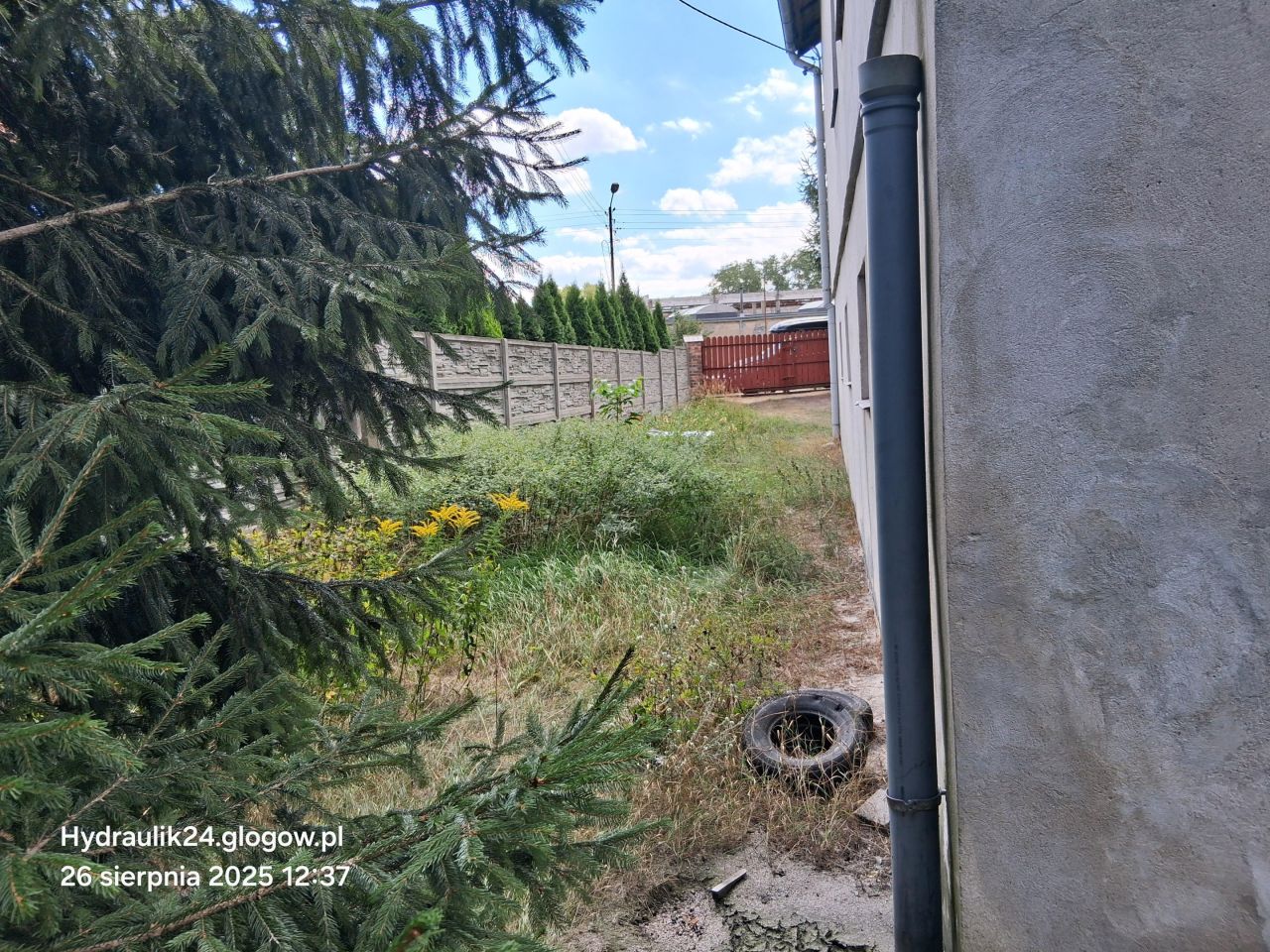 dom wolnostojący, 10 pokoi Nowa Sól, ul. Zielonogórska. Zdjęcie 19