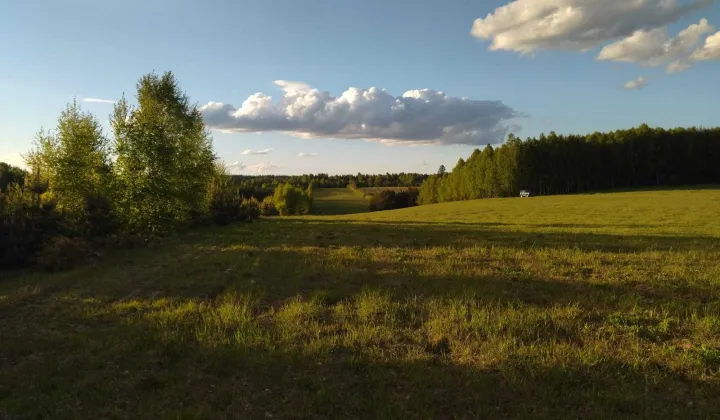 Działka rolna Starzno