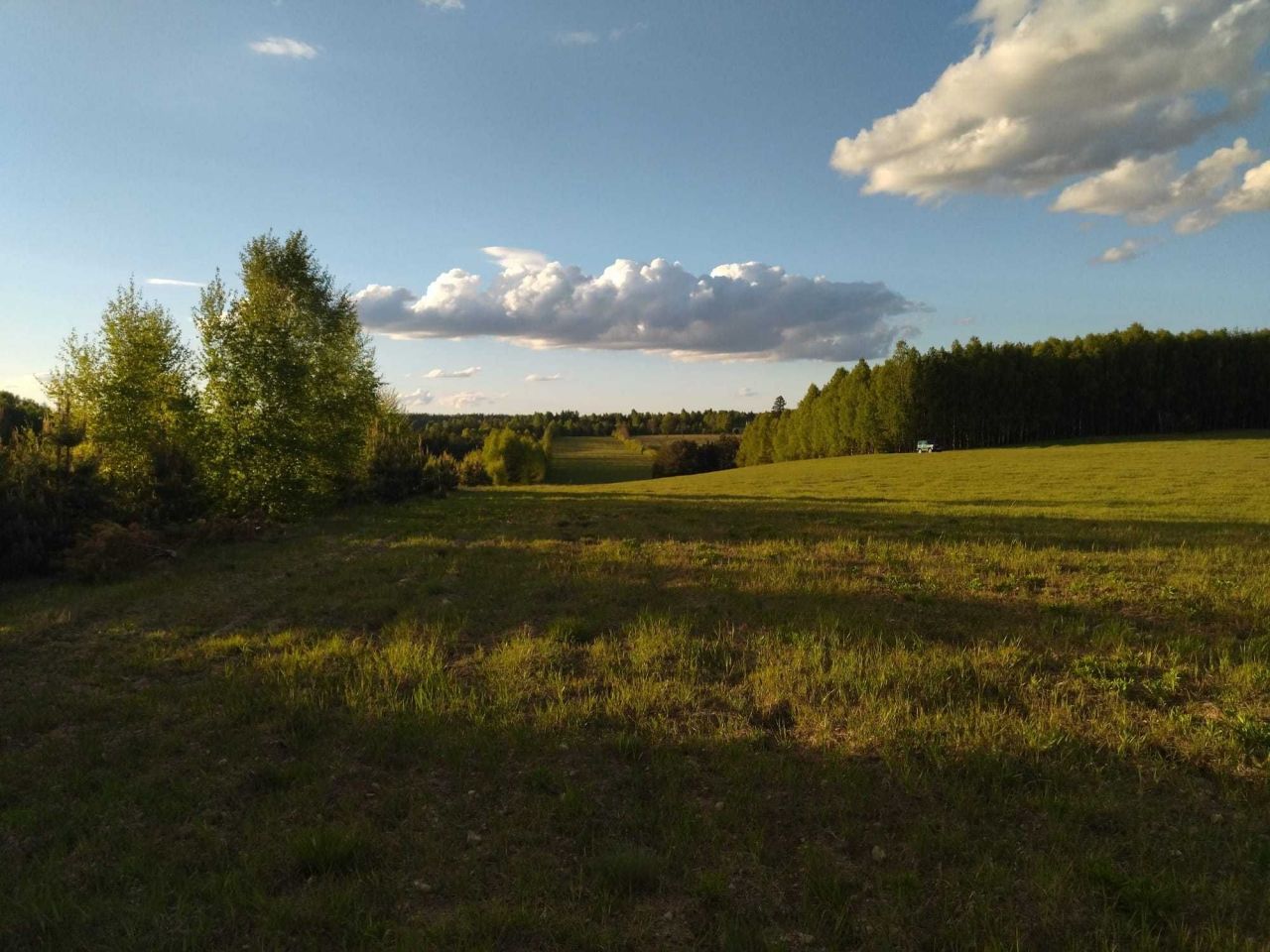 Działka rolna Starzno