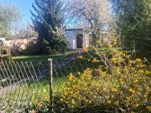 Działka rekreacyjna Lubin, Rod lubczyk. Zdjęcie 1