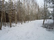 Działka rolno-budowlana Kozjaty. Zdjęcie 3