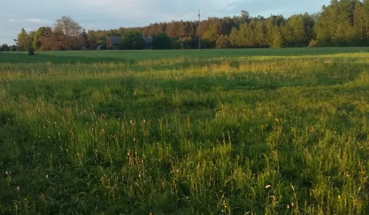 Działka rolno-budowlana Wólka Leśna