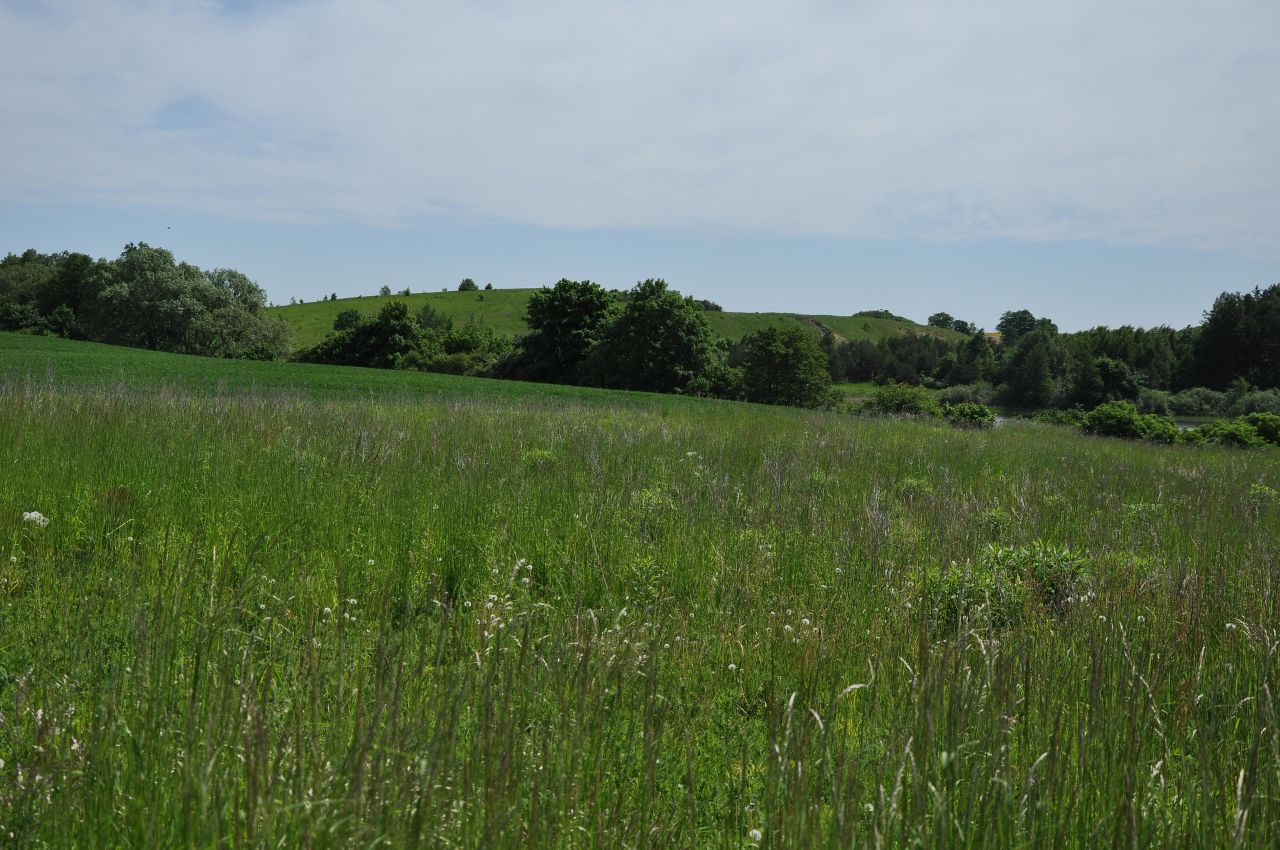 Działka budowlana Godziszewo, ul. Nad Jeziorem. Zdjęcie 4