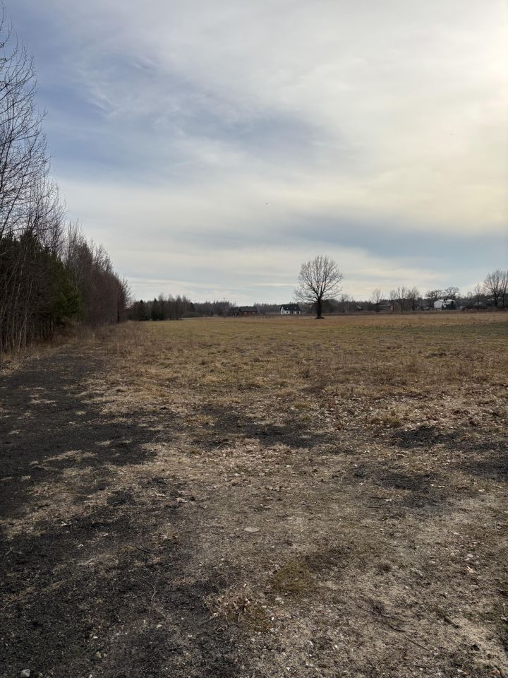 Działka budowlana Dawidów. Zdjęcie 3