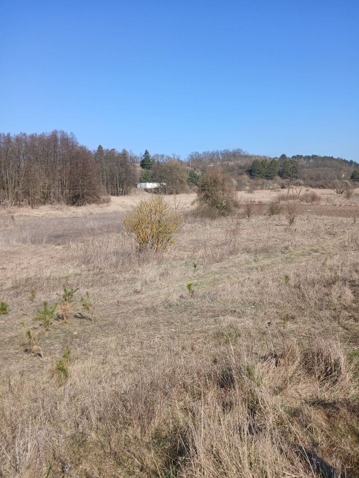 Działka rolno-budowlana Widuchowa, ul. Nadodrzańska. Zdjęcie 3