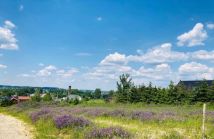 Działka budowlana Połupin. Zdjęcie 1