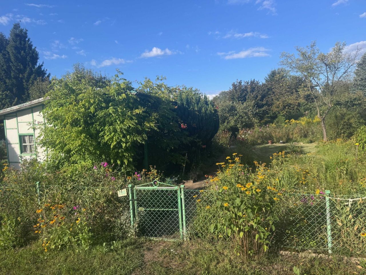 Działka rod Zielona Góra Jędrzychów. Zdjęcie 3