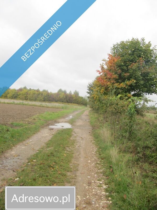 Działka budowlana Parczów. Zdjęcie 2