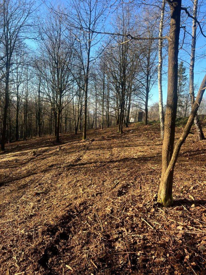 Działka rolno-budowlana Siepraw Brzeg, ul. Brzeg. Zdjęcie 2