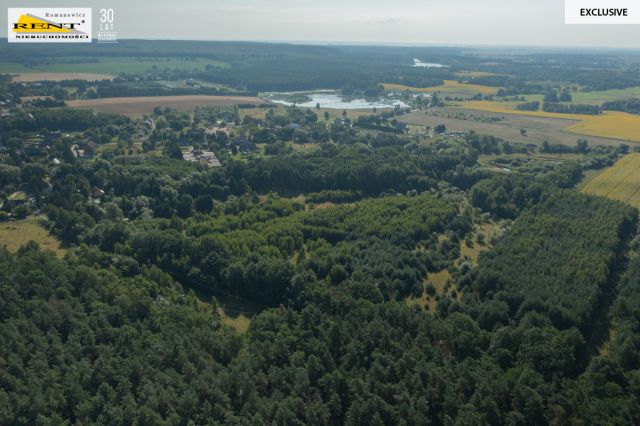 Działka rolna Binowo. Zdjęcie 8