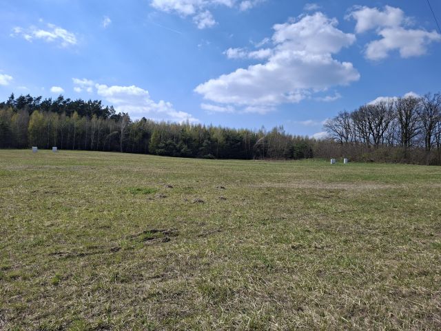 Działka rolno-budowlana Ludgierzowice. Zdjęcie 2