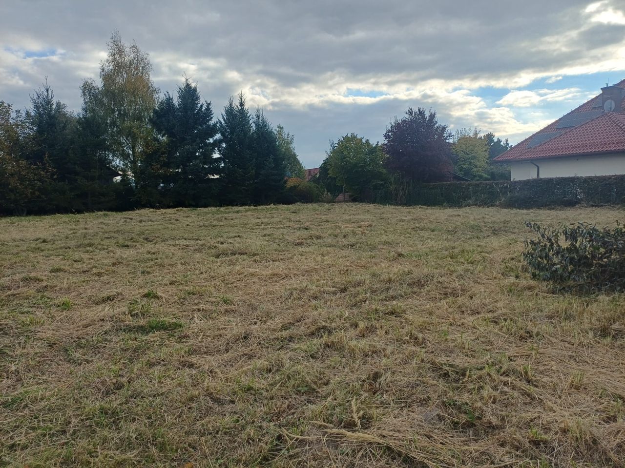 Działka budowlana Jawiszowice Podlesie Brzeskie, Biała Hubala. Zdjęcie 3