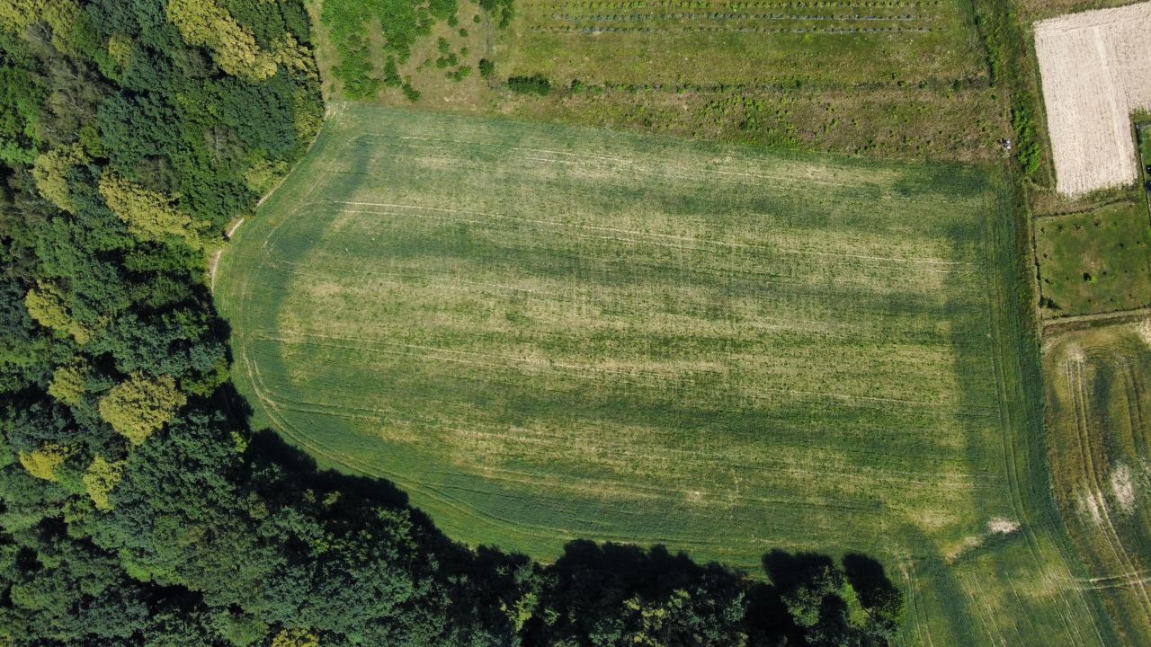 Działka inwestycyjna Hecznarowice, ul. Leśna. Zdjęcie 4