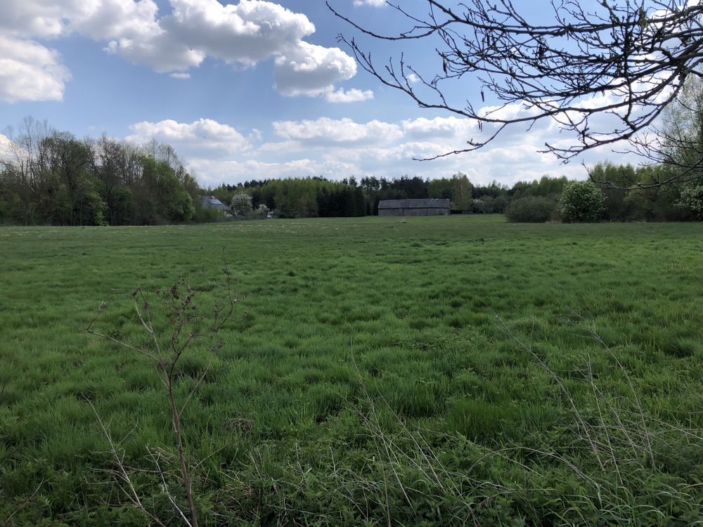 Działka rolno-budowlana Wólka Leśna. Zdjęcie 6