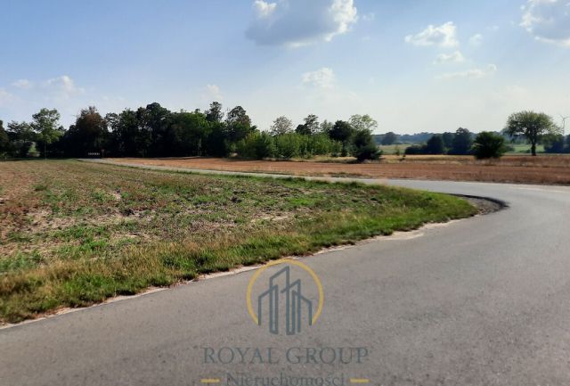 Działka rolna Rudno. Zdjęcie 2