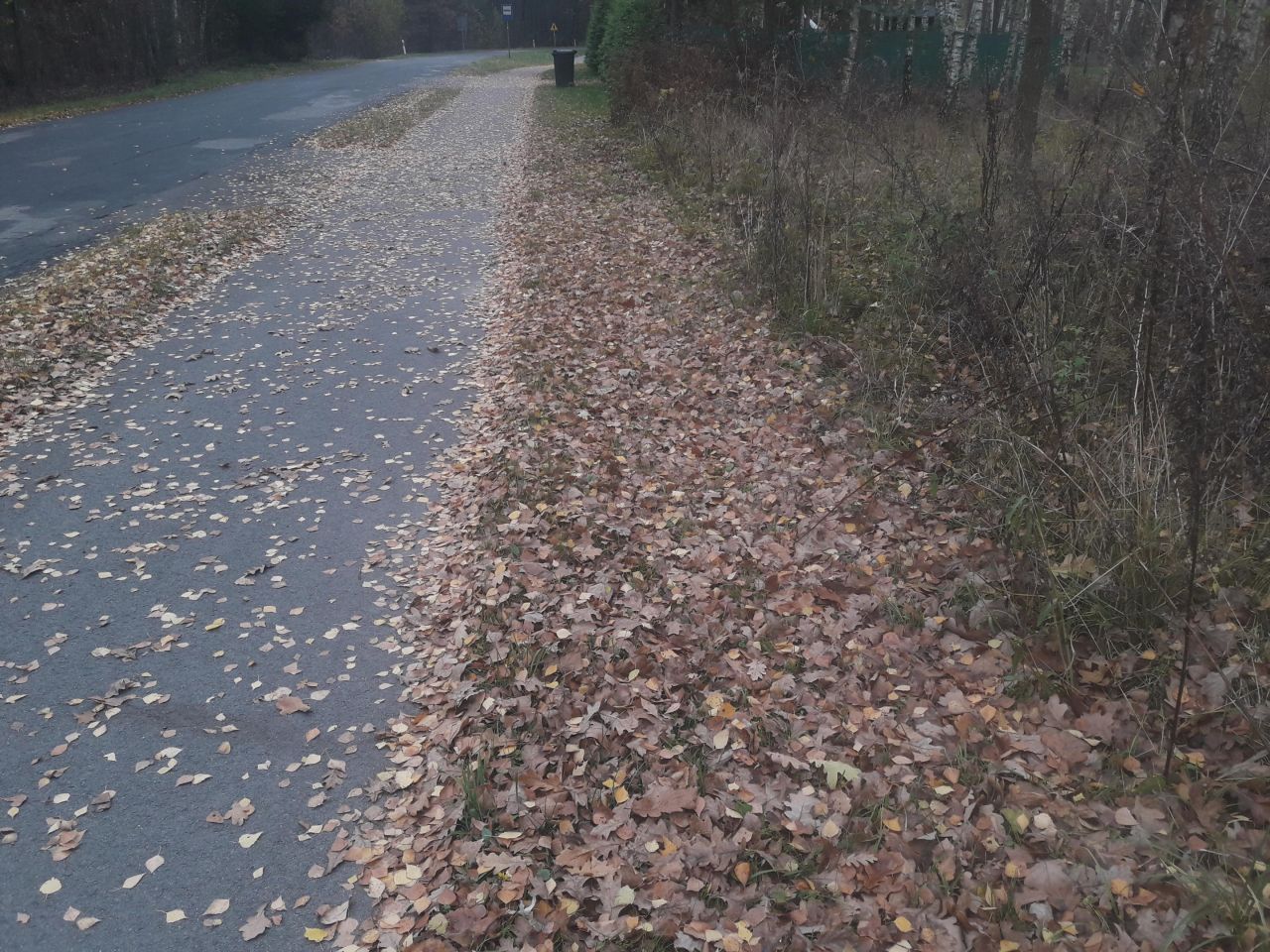 Działka budowlana Stare Załucze. Zdjęcie 7