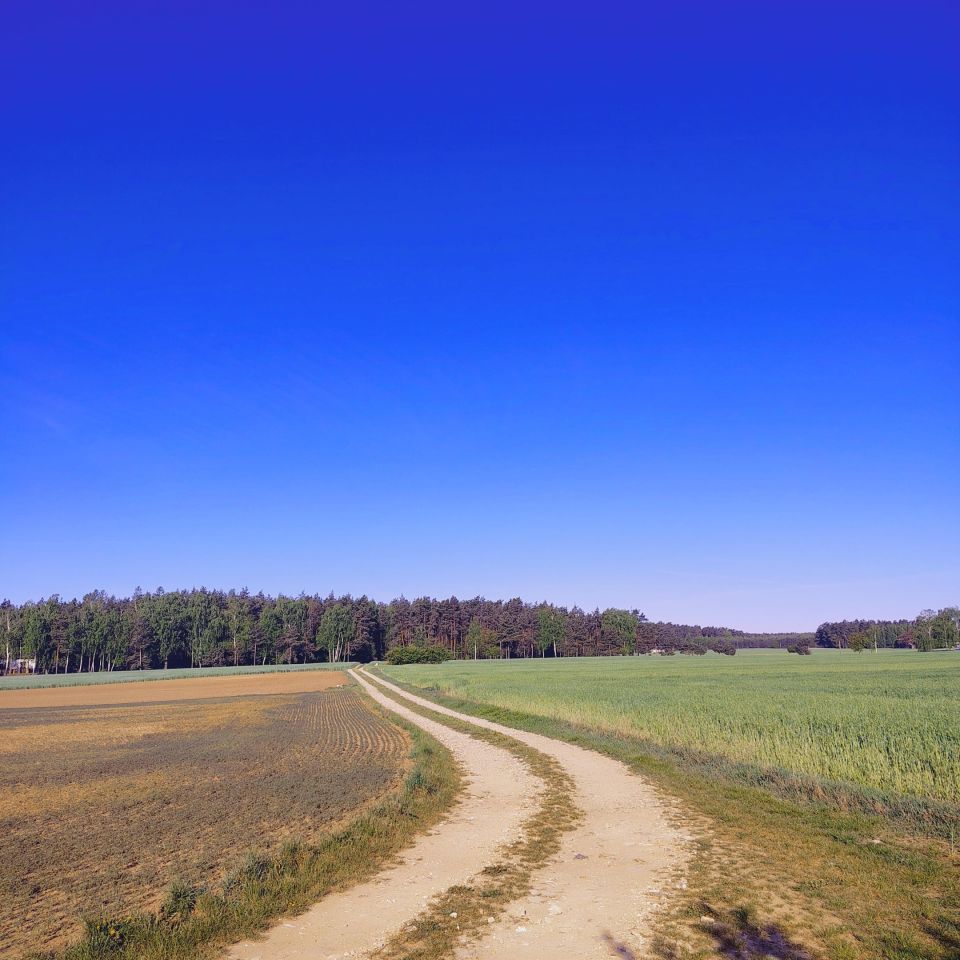 Działka budowlana Pniewo-Czeruchy. Zdjęcie 3