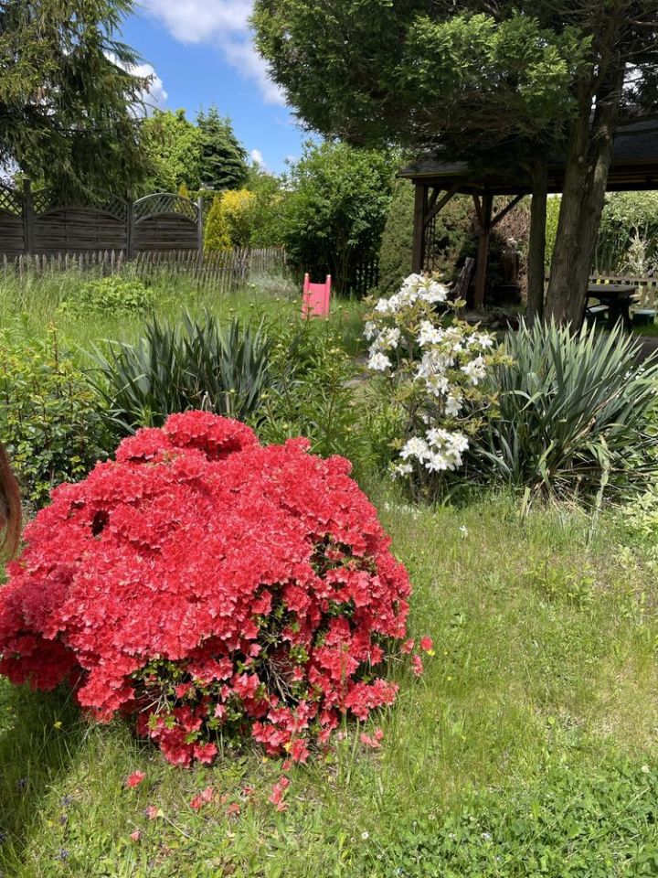 Działka rod Kalisz, ul. Poranna. Zdjęcie 7