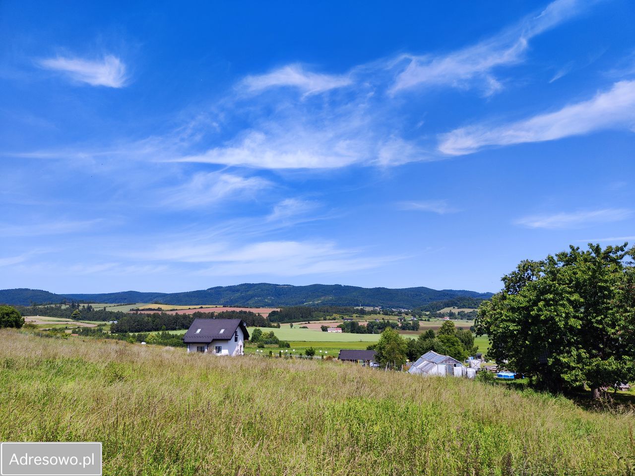 Działka budowlana Dzikowiec. Zdjęcie 12