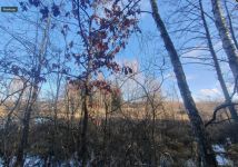 Działka rolna Dalno. Zdjęcie 2