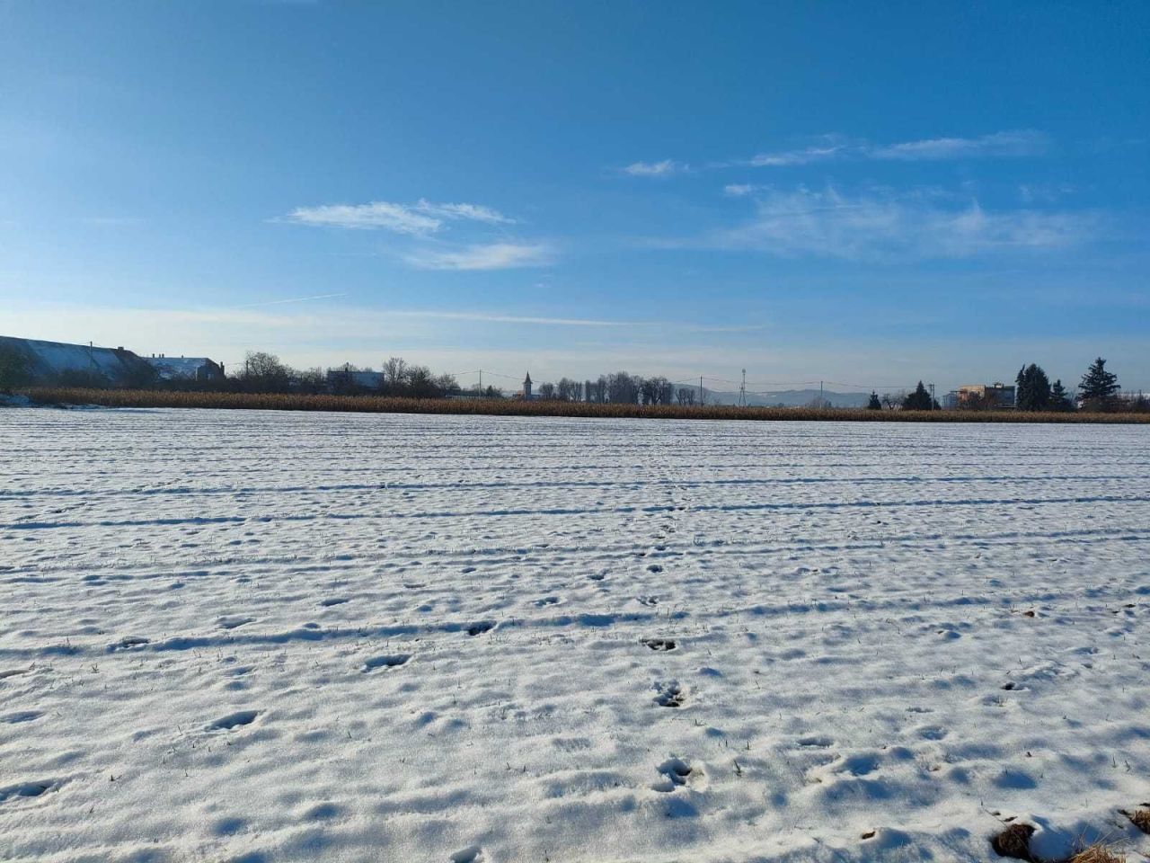 Działka budowlana Świebodzice Ciernie, ul. Ciernie. Zdjęcie 4