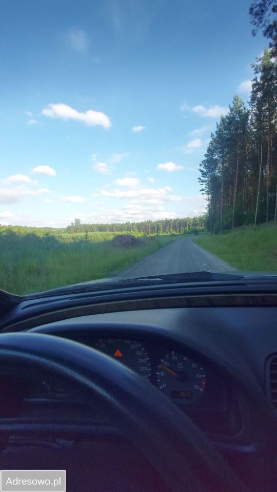 Działka rolna Smorawina. Zdjęcie 9