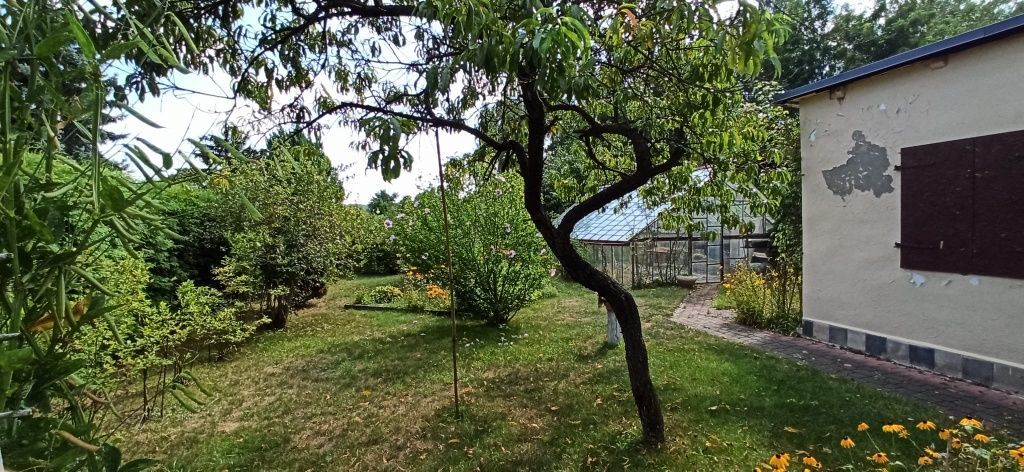 Działka rod Ruda Śląska Wirek. Zdjęcie 7