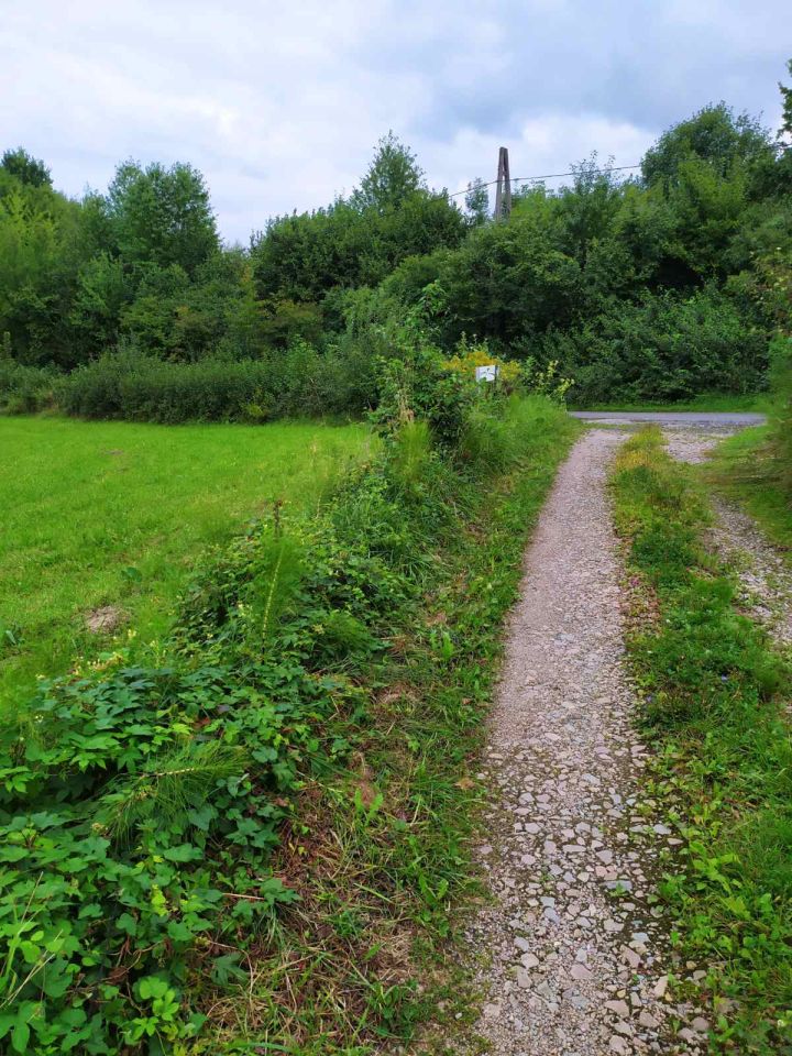 Działka rekreacyjna Zręczyce. Zdjęcie 5