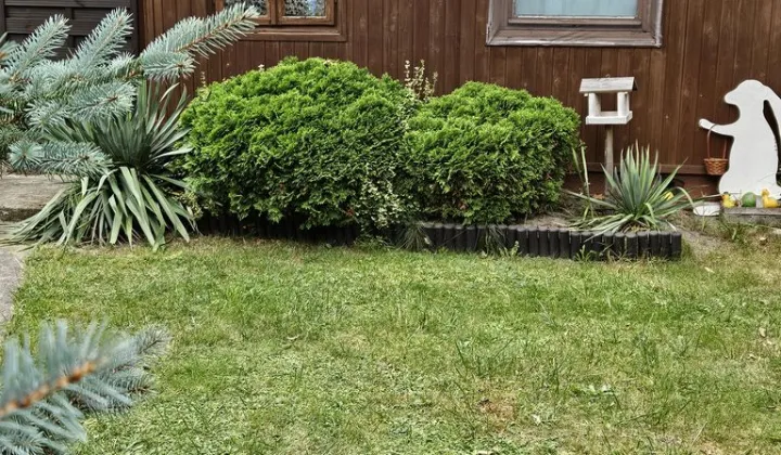 Działka rod Przypki, ul. Kościelna