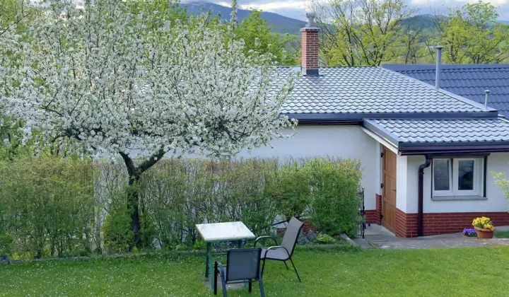 dom wolnostojący, 6 pokoi Kamienna Góra Daleszów Górny, ul. Wiejska