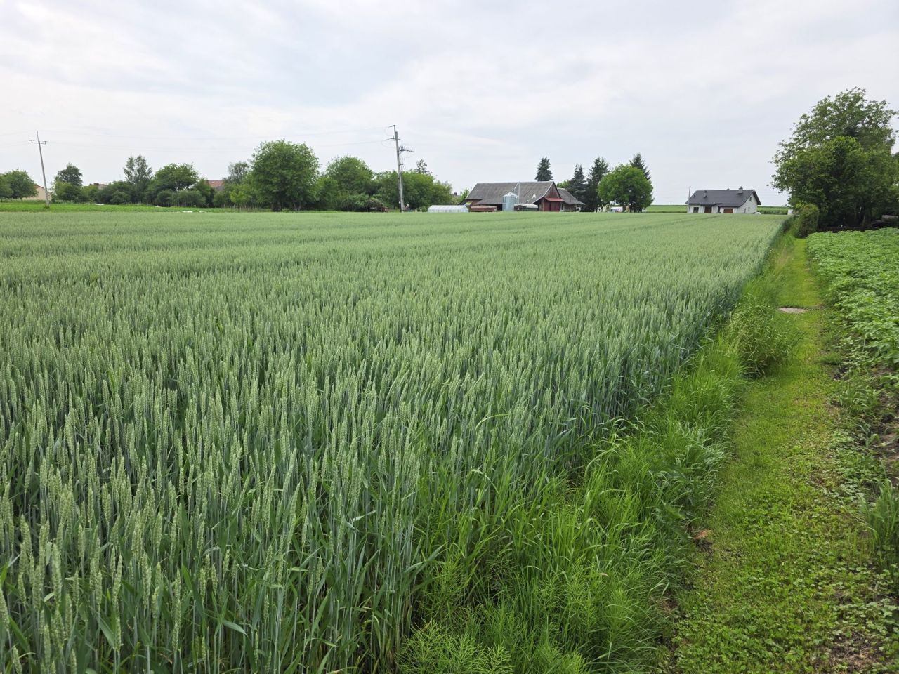 Działka budowlana Przeworsk, ul. Żurawia. Zdjęcie 7