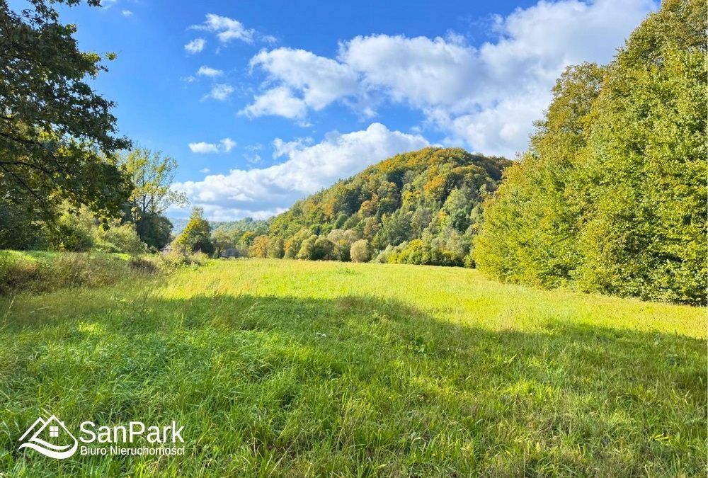 Działka rolna Wołkowyja. Zdjęcie 10