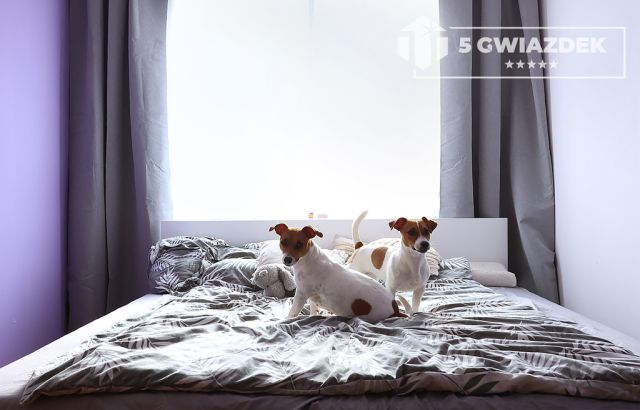 dom szeregowy, 5 pokoi Szczecinek, ul. Ziemowita. Zdjęcie 31