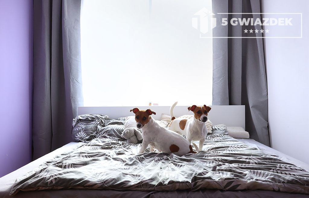 dom szeregowy, 5 pokoi Szczecinek, ul. Ziemowita. Zdjęcie 31