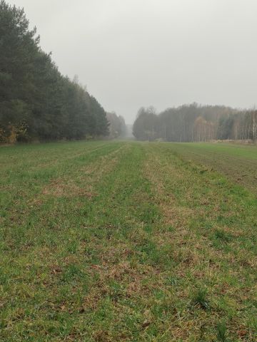 Działka rolna Jasionna. Zdjęcie 1