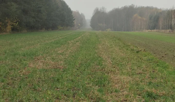 Działka rolna Jasionna