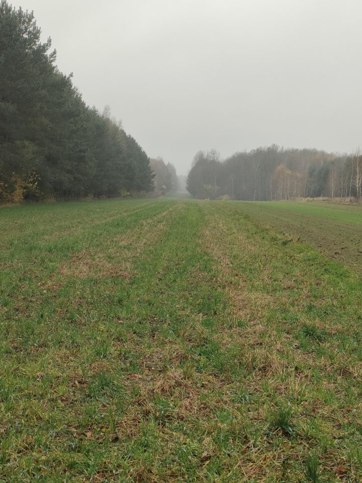 Działka rolna Jasionna