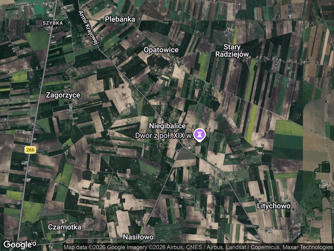 Działka rolna Niegibalice. Zdjęcie 1