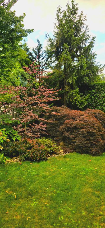 bliźniak, 5 pokoi Gliwice Śródmieście, Most Baildona. Zdjęcie 16