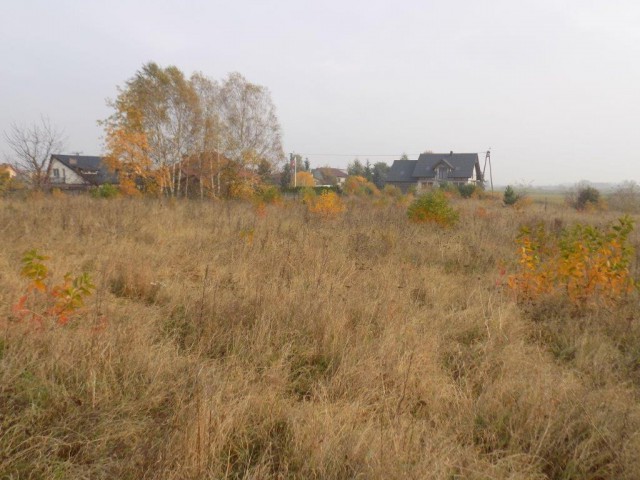 Działka rolna Zamość, ul. Świerkowa. Zdjęcie 1