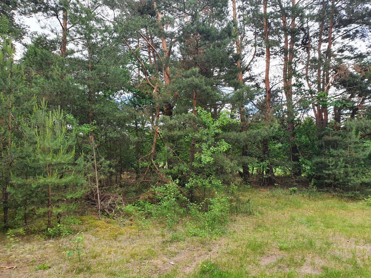 Działka inna Boska Wola. Zdjęcie 7